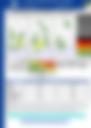 AFTERNOON FORECAST 13092026