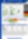 AFTERNOON FORECAST 13102026