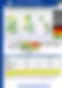 AFTERNOON FORECAST 15072026