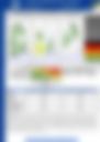 AFTERNOON FORECAST 15102026