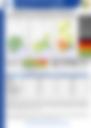 MORNING FORECAST 03/06/2026