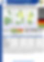 MORNING FORECAST 15092026