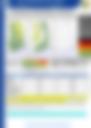 MORNING FORECAST 19082026