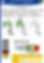 Impact Based Forecast