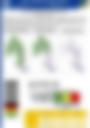 Impact Based Forecast