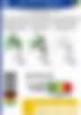 Impact Based Forecast