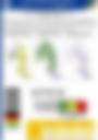 Impact Based Forecast