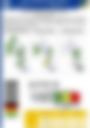 Impact Based Forecast