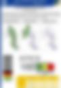 Impact Based Forecast