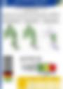 Impact Based Forecast