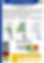 Impact Based Forecast