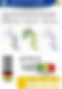 Impact Based Forecast