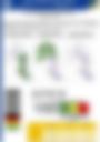 Impact Based Forecast