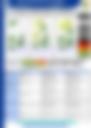 MIDWEEK OUTLOOK 19082026