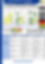 Impact-Based Forecast