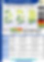 WEEKLY OUTLOOK MONDAY 31082026
